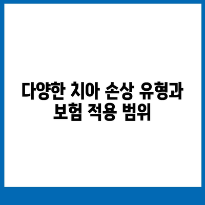 치아 손상에 대비하는 치아 보험 선택 시 고려해야 할 5가지 포인트 | 치아 보험, 손상 예방, 보험 가이드