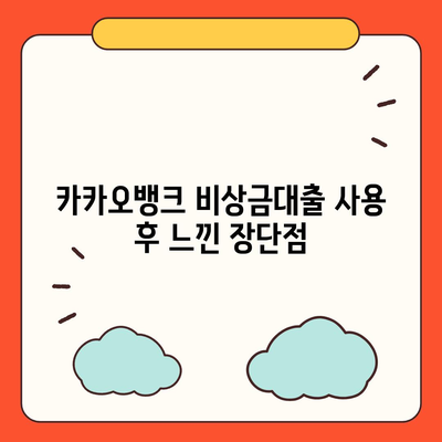 카카오뱅크 pc버전 비상금대출 후기