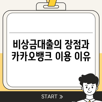 카카오뱅크 pc버전 비상금대출 pc버전 신청