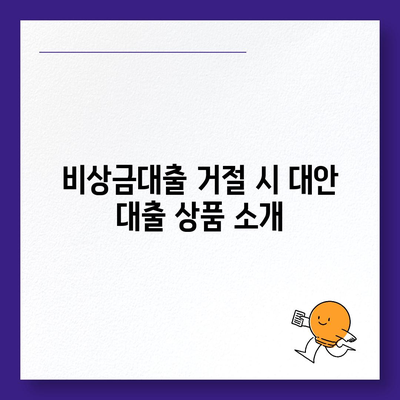 카카오뱅크 비상금대출 거절