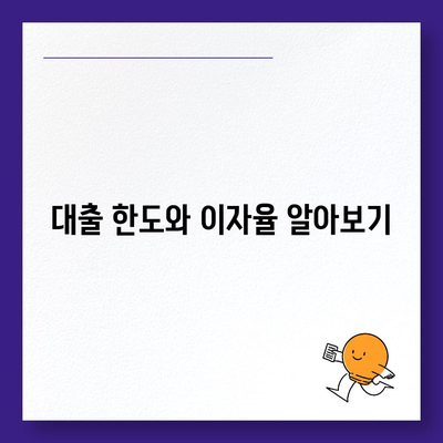 카카오뱅크 비상금대출 조건