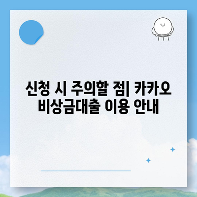 카카오 비상금대출