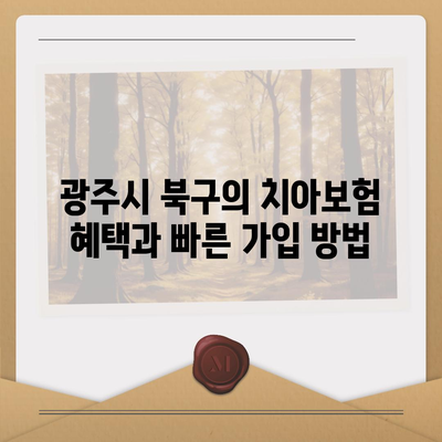 광주시 북구 신안동 치아보험 가격 비교 | 에이스, 라이나 추천 및 가입조건, 2024년 가이드 | 치과보험, 혜택, 팁