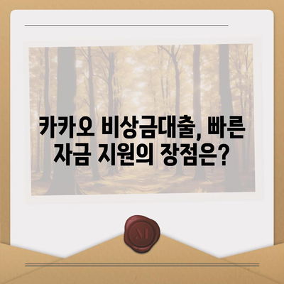 카카오 비상금대출