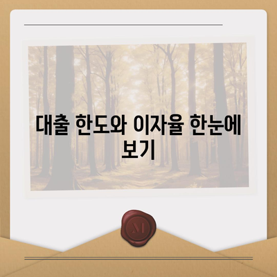 카카오뱅크 pc버전 비상금대출조건