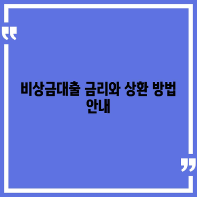 카카오뱅크 pc버전 비상금대출 후기