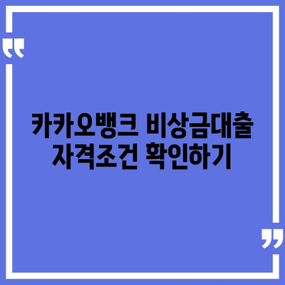 카카오뱅크 비상금대출 신청 방법