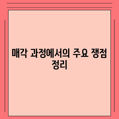 카카오 골프 퀀텀 매각 이슈 대응