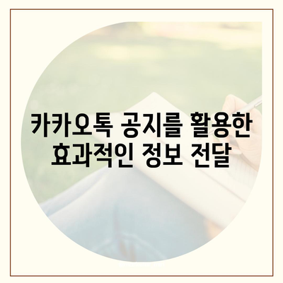 카카오톡 공지