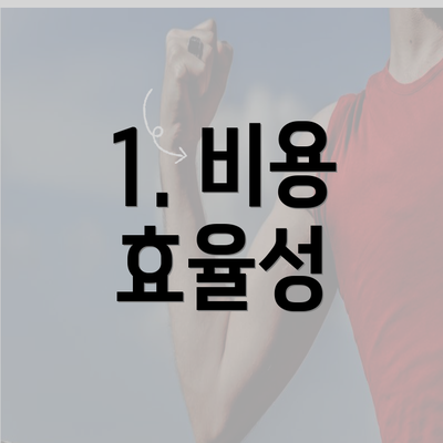 1. 비용 효율성