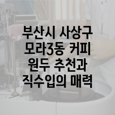 부산시 사상구 모라3동 커피 원두 추천과 직수입의 매력