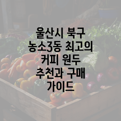 울산시 북구 농소3동 최고의 커피 원두 추천과 구매 가이드