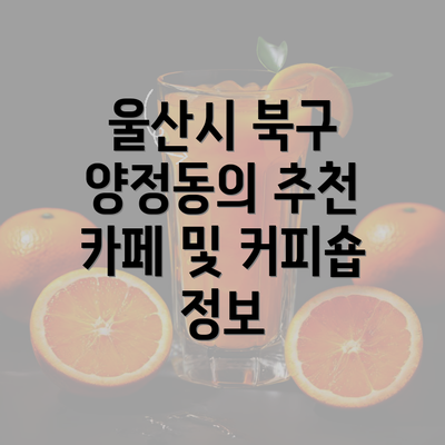 울산시 북구 양정동의 추천 카페 및 커피숍 정보