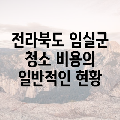 전라북도 임실군 청소 비용의 일반적인 현황