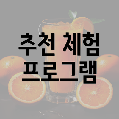 추천 체험 프로그램