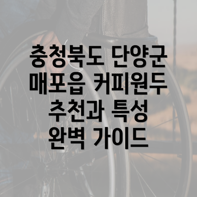 충청북도 단양군 매포읍 커피원두 추천과 특성 완벽 가이드