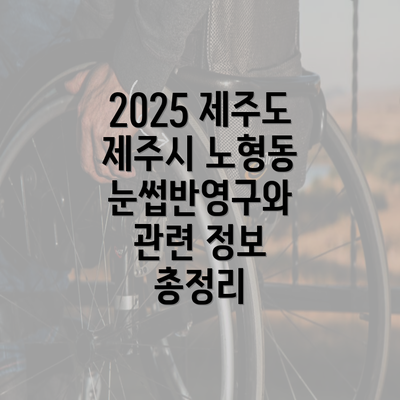 2025 제주도 제주시 노형동 눈썹반영구와 관련 정보 총정리