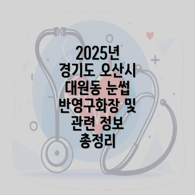 2025년 경기도 오산시 대원동 눈썹 반영구화장 및 관련 정보 총정리