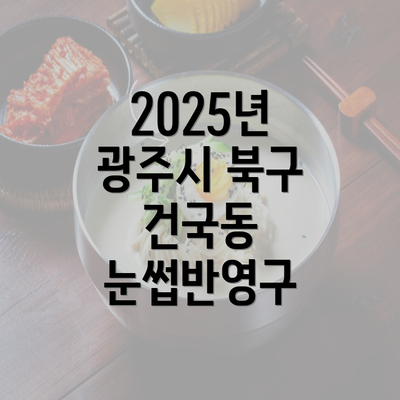 2025년 광주시 북구 건국동 눈썹반영구