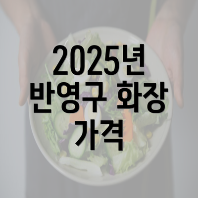 2025년 반영구 화장 가격