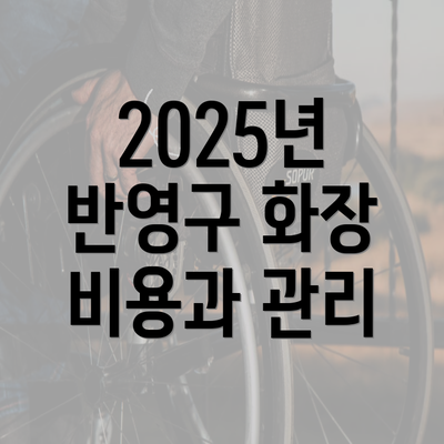 2025년 반영구 화장 비용과 관리