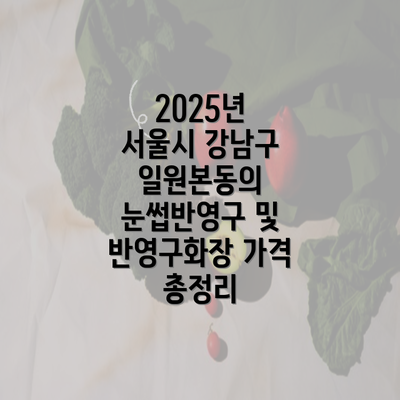 2025년 서울시 강남구 일원본동의 눈썹반영구 및 반영구화장 가격 총정리