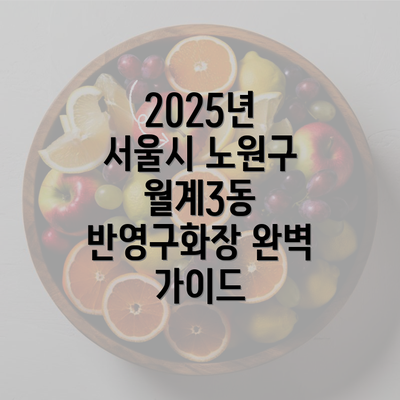 2025년 서울시 노원구 월계3동 반영구화장 완벽 가이드