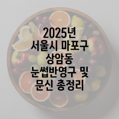 2025년 서울시 마포구 상암동 눈썹반영구 및 문신 총정리