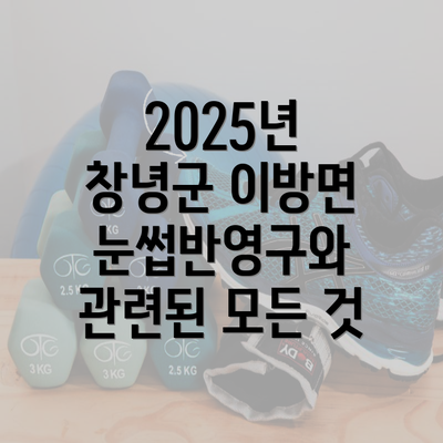 2025년 창녕군 이방면 눈썹반영구와 관련된 모든 것