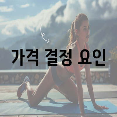 가격 결정 요인