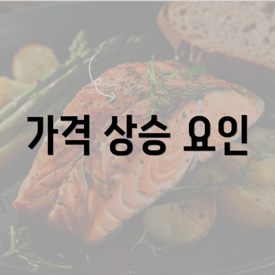 가격 상승 요인