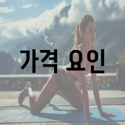 가격 요인