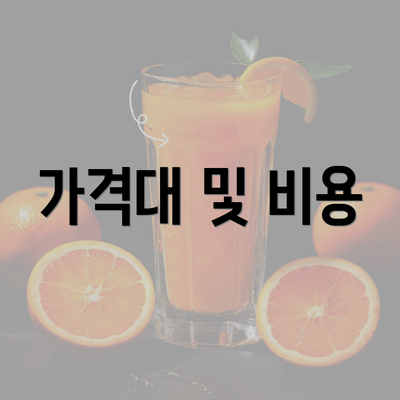 가격대 및 비용