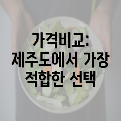 가격비교: 제주도에서 가장 적합한 선택