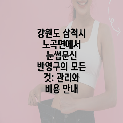 강원도 삼척시 노곡면에서 눈썹문신 반영구의 모든 것: 관리와 비용 안내