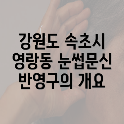 강원도 속초시 영랑동 눈썹문신 반영구의 개요