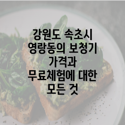 강원도 속초시 영랑동의 보청기 가격과 무료체험에 대한 모든 것