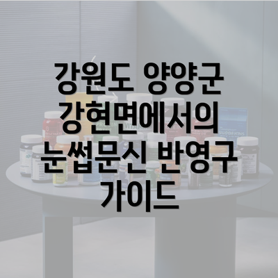 강원도 양양군 강현면에서의 눈썹문신 반영구 가이드