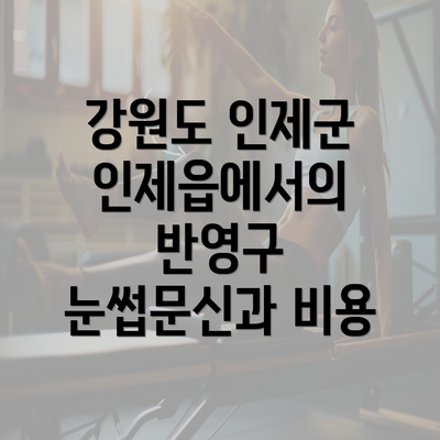 강원도 인제군 인제읍에서의 반영구 눈썹문신과 비용