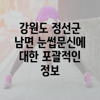 강원도 정선군 남면 눈썹문신에 대한 포괄적인 정보