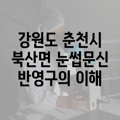 강원도 춘천시 북산면 눈썹문신 반영구 모든 것을 알고 시작하자!