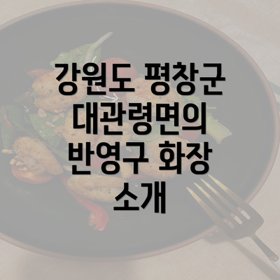 강원도 평창군 대관령면의 반영구 화장 소개