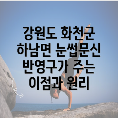 강원도 화천군 하남면 눈썹문신 반영구가 주는 이점과 원리