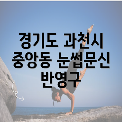 경기도 과천시 중앙동 눈썹문신 반영구