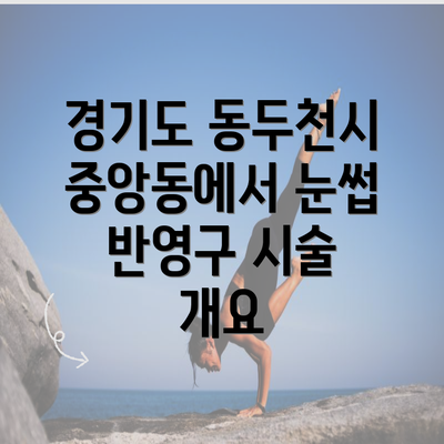 경기도 동두천시 중앙동에서 눈썹 반영구 시술 개요