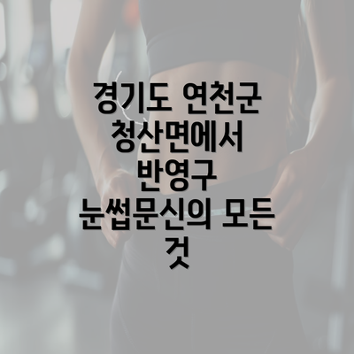 경기도 연천군 청산면에서 반영구 눈썹문신의 모든 것