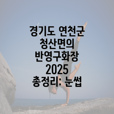 경기도 연천군 청산면의 반영구화장 2025 총정리: 눈썹