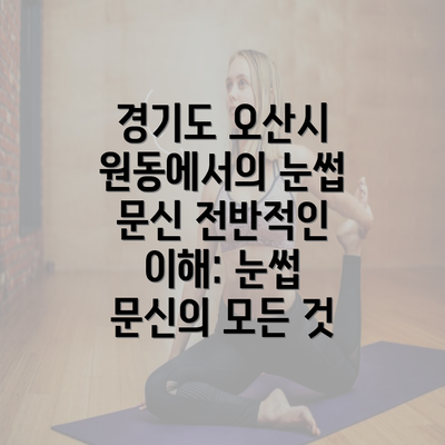 경기도 오산시 원동에서의 눈썹 문신 전반적인 이해: 눈썹 문신의 모든 것