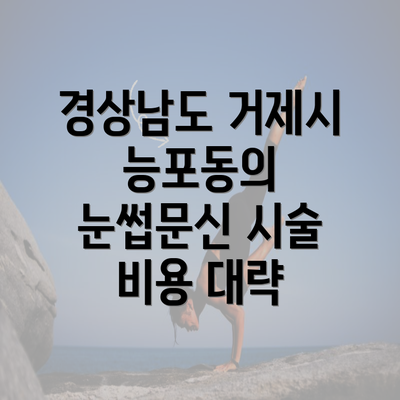 경상남도 거제시 능포동의 눈썹문신 시술 비용 대략