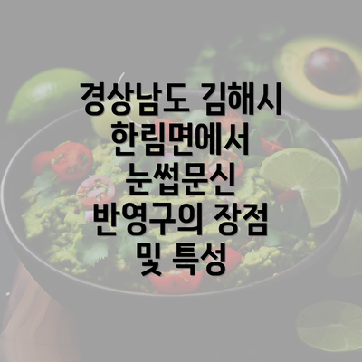 경상남도 김해시 한림면에서 눈썹문신 반영구의 장점 및 특성